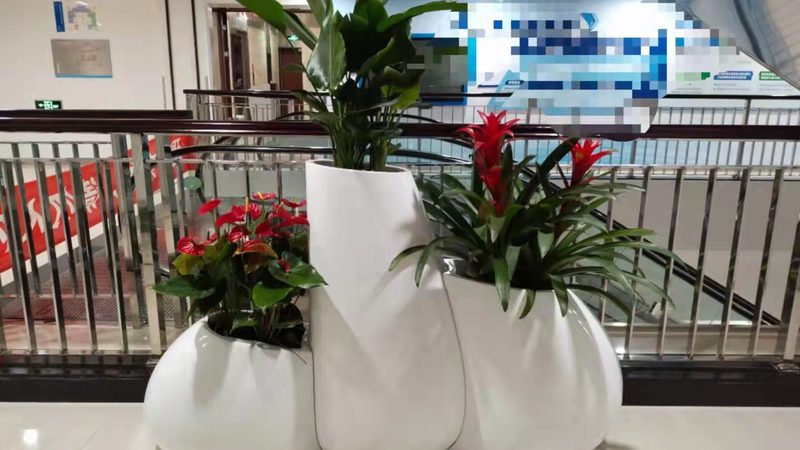 小区草坪修剪高度标准要求
