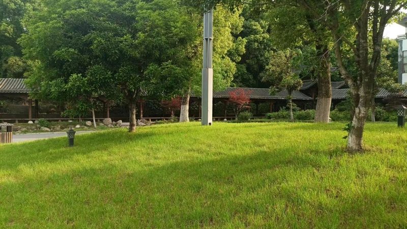 立体绿化墙稳固性关键因素解析